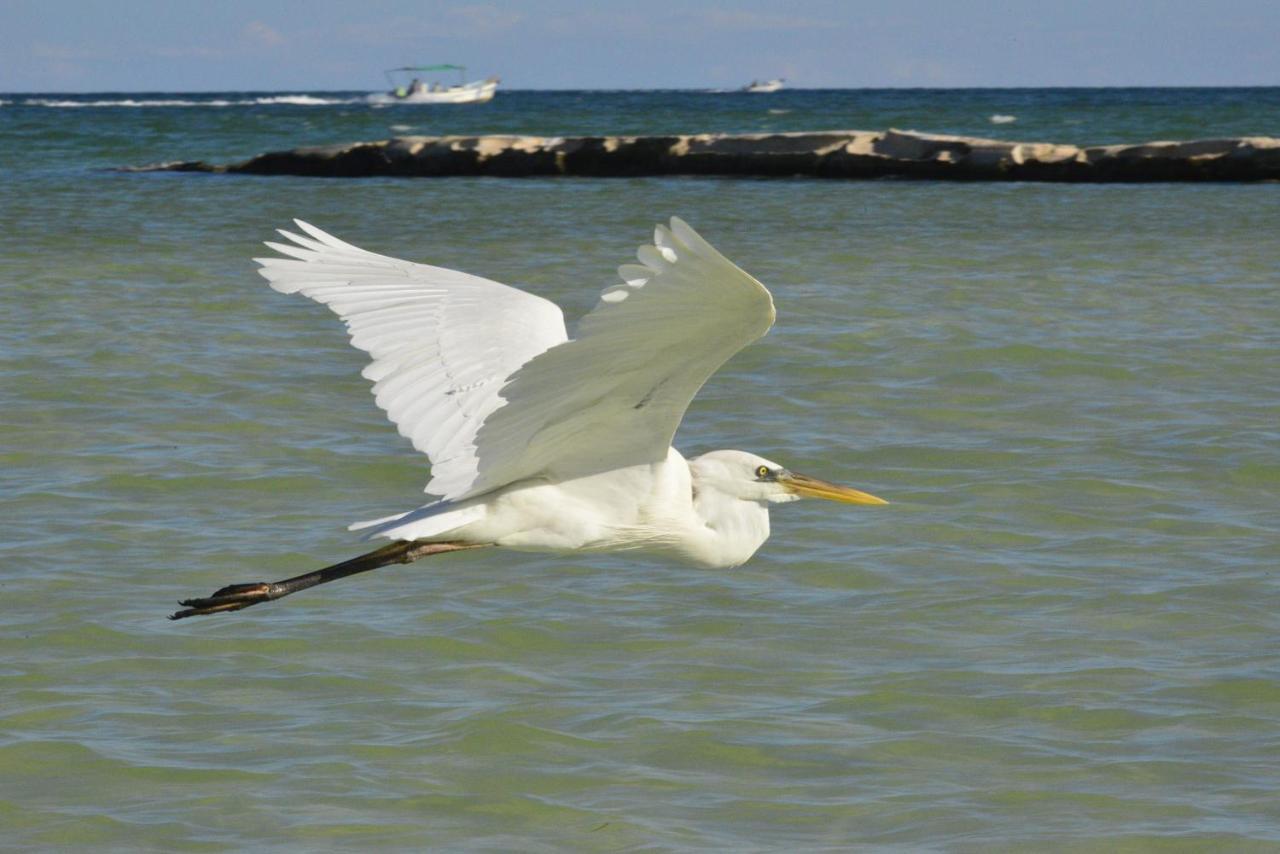 Willa Casa Luz Holbox Zewnętrze zdjęcie